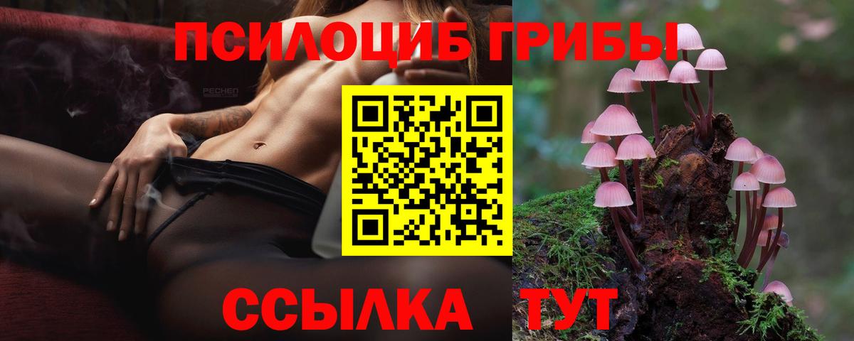 Псилоцибиновые грибы Psilocybe Омск